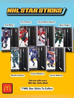 Full Set - NHL Star Sticks